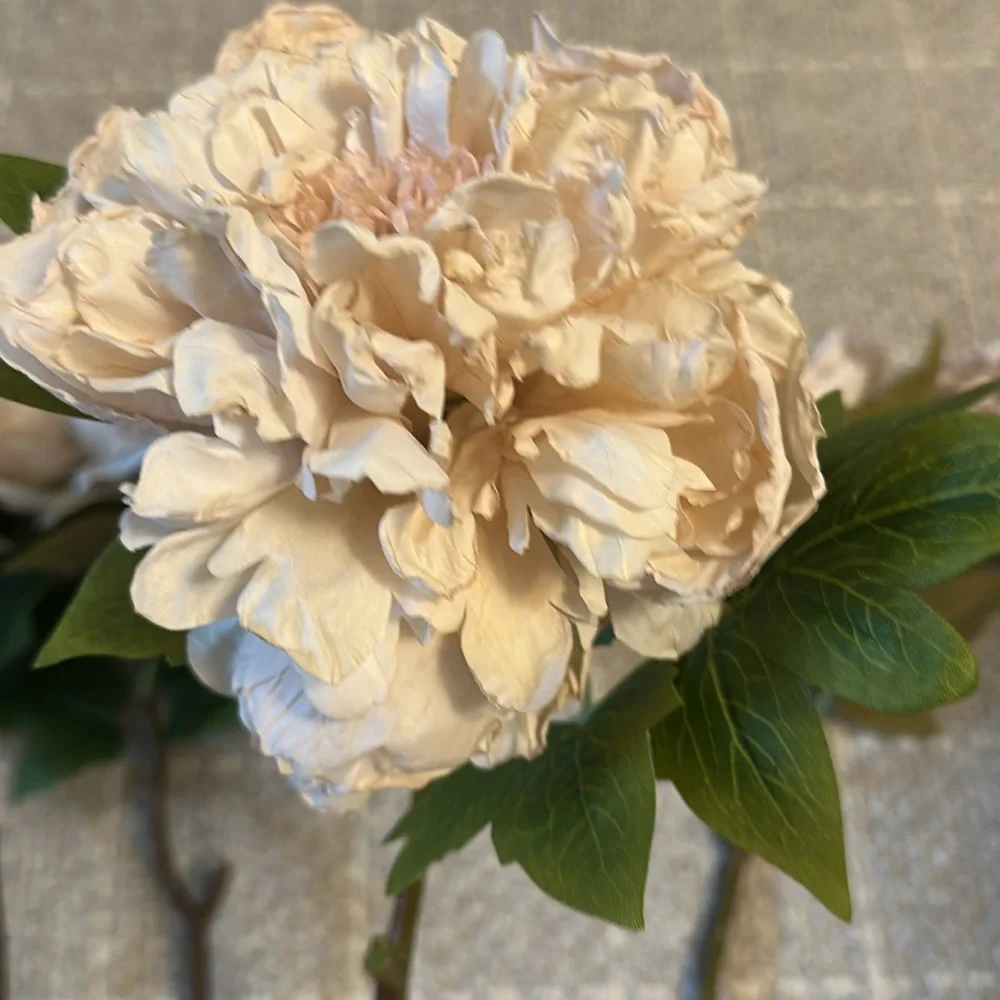 Abigail Ahern Beige Blush Artificial Peony Flower